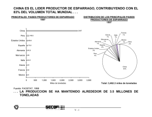 IV. Grupo estratégico espárrago