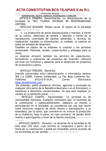 Acta Constitutiva del Grupo Aeroportuario de la Ciudad de México