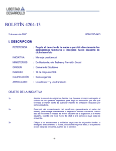 BOLETÍN 4204-13  I. DESCRIPCIÓN