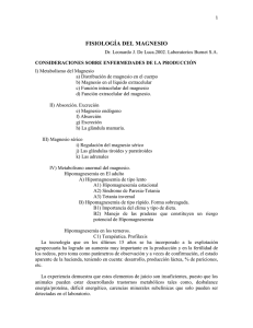 1 FISIOLOGÍA DEL MAGNESIO Dr. Leonardo J. De Luca.2002