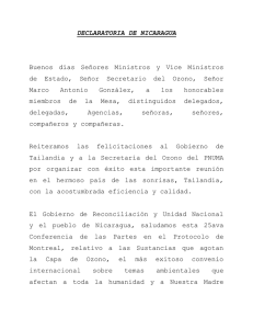DECLARATORIA DE NICARAGUA
