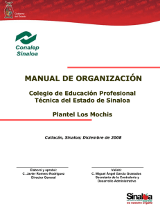 Manual de Organización del Plantel Los Mochis