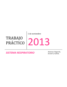 2013 TRABAJO PRÁCTICO SISTEMA RESPIRATORIO