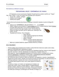 Tripanosoma Cruzi y Enfermedad de Chagas