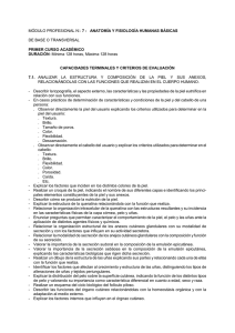 módulo profesional n1 7 : anatomía y fisiología humanas básicas