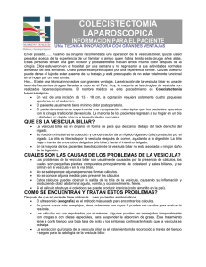 Colecistectom&iacute;a Laparosc&oacute;pica