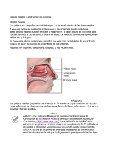 Pólipos nasales y obstrucción de cornetes