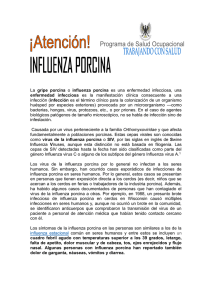 La gripe porcina o influenza porcina es una enfermedad infecciosa