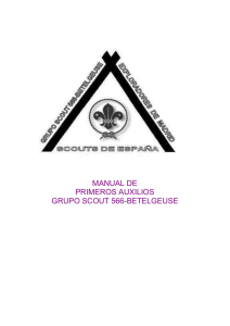 manual de - Listado de grupos scouts de ASDE en Scouts-es