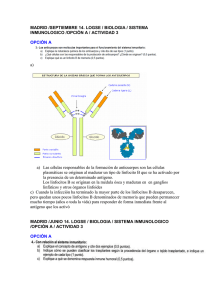 B2ESRt23 Organizacion del sistema inmune