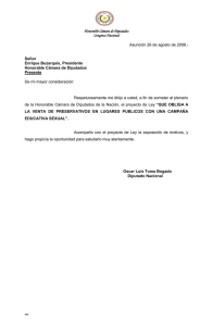 Honorable Cámara de Diputados Congreso Nacional Asunción 26