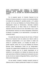 ACCIÓN DE INCONSTITUCIONALIDAD 24/2012. VOTO