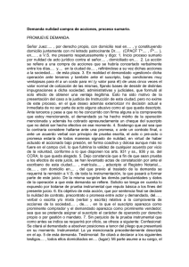 Demanda nulidad compra de acciones, proceso sumario