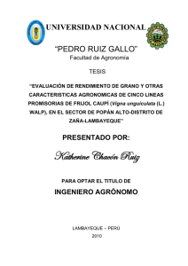 UNIVERSIDAD NACIONAL &ldquo;PEDRO RUIZ GALLO&rdquo;
