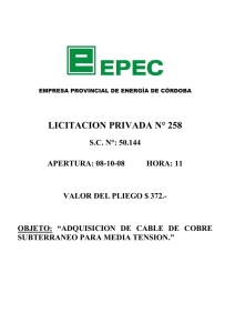 Empresa Provincial de Energía de Córdoba EPEC Licitación