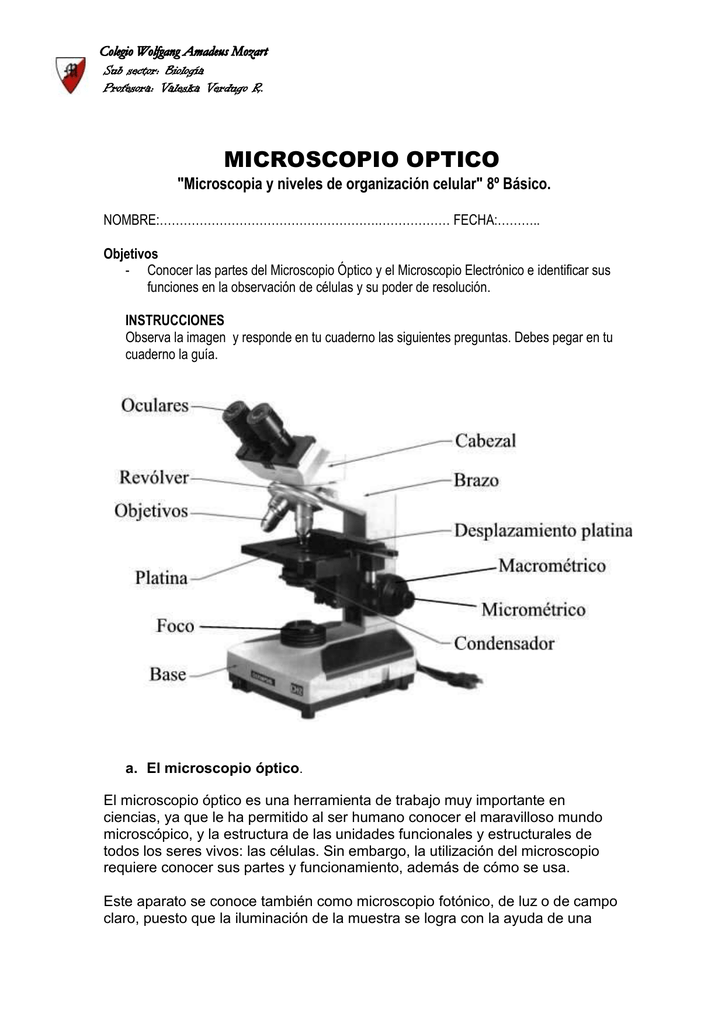 MICROSCOPIO &#34;Microscopia y niveles de organización celular&#34; 8º Básico.