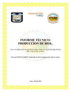 informe técnico - Producción de olivas orgánicas en el valle de Azapa