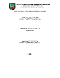 directiva caja chica - Universidad Nacional Agraria La Molina