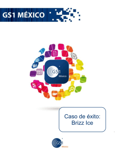 Brizz Ice: Refrescando la operación comercial
