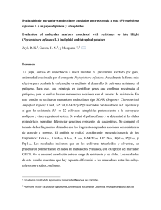 Phytophthora Evaluation  of  molecular  markers  associated ... Phytophthora infestans infestans