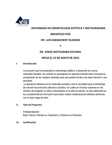 Curriculum Vitae Dr. Jorge Matsubara Koyama