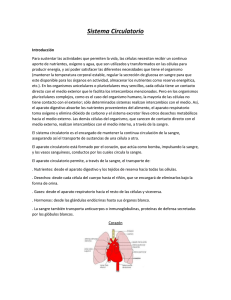 Sistema Circulatorio y Frecuencia Cardiaca (374064)