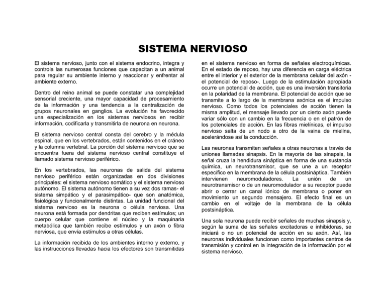 SISTEMA NERVIOSO