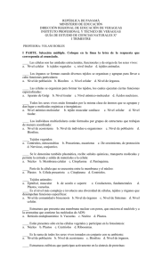 REPÚBLICA DE PANAMÁ MINISTERIO DE EDUCACIÓN DIRECCIÓN REGIONAL DE EDUCACIÓN DE VERAGUAS