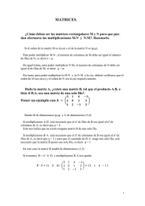 3. Problemas resueltos Matrices, sistemas de ecuaciones y