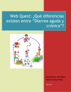 Web Quest: ¿Qué diferencias existen entre *Diarrea aguda y crónica*?