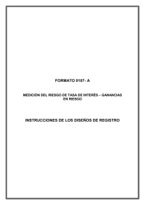 FORMATO 0107- A  INSTRUCCIONES DE LOS DISEÑOS DE REGISTRO – GANANCIAS