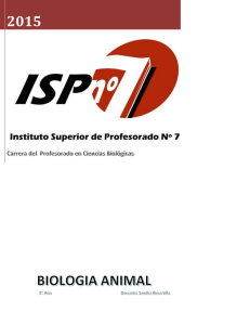 asignatura: biologia animal - Instituto Superior de Profesorado Nº 7