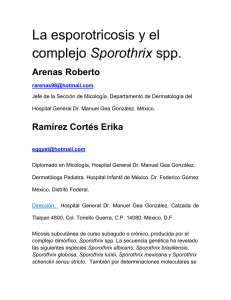 La esporotricosis y el complejo Sporothrix spp.