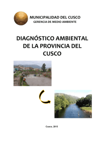 Diagnostico Ambiental Provincial - Municipalidad Provincial del Cusco