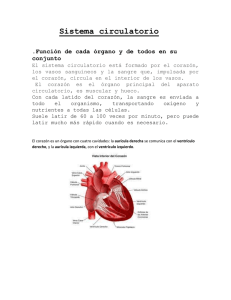 sistema circulatorio - Nuestra Señora del Refugio