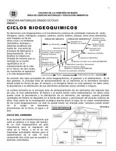 Ciclo biogeoquímico