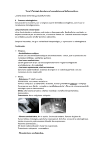 Patologia ósea tumoral y pseudotumoral de los - Dental-Book