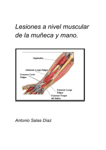 Lesiones a nivel muscular de la muñeca y mano.