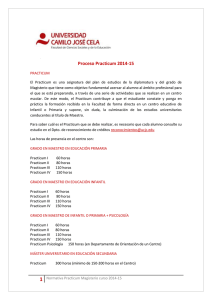 Proceso Practicum 2014-15 - Universidad Camilo José Cela