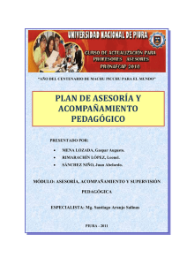 plan de asesoría y acompañamiento pedagógico - PLANES-GML