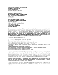 CONSTRUCTORA MAYRO S.A DE C.V. TRANSITO PESADO 1