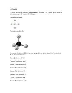 Hidrocarburos (80108)