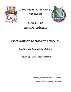 Dr. Iván Salmerón Ochoa - FCQ