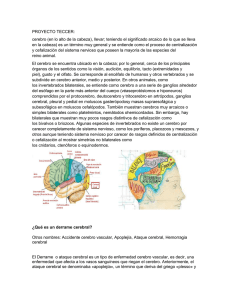 PROYECTO TECCER (1)