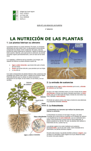 LA NUTRICION DE LAS PLANTAS