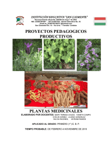 proyectos pedagogicos productivos plantas medicinales