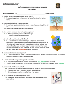 Guía de estudio C.Naturales (19 – !0 -2014)