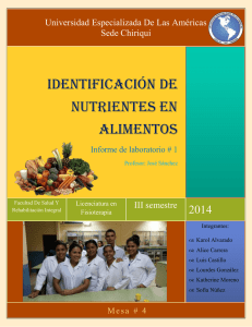 Identificación de nutrientes en alimentos