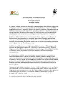 PROYECTO REDD+ INDIGENA AMAZONICO Términos de