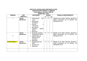 ORGANIZACIÓN SEMANA A SEMANA